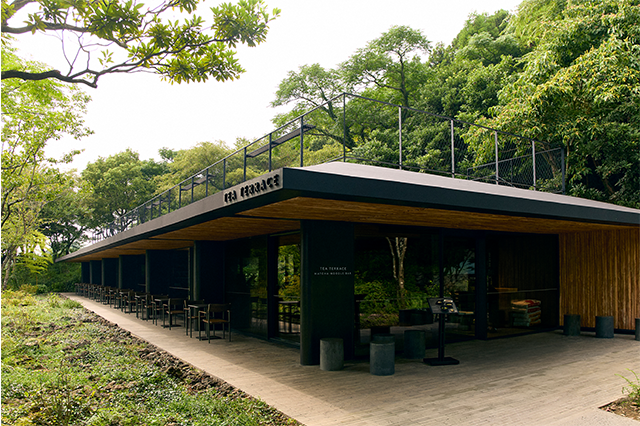 삼성웰스토리, 360솔루션, 말차누들바