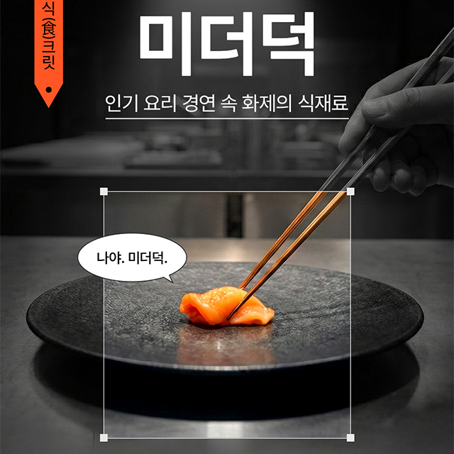 인스타그램 컨텐츠