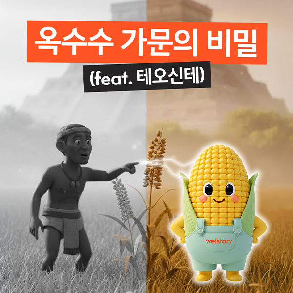 옥수수가 9,000년 전엔 잡초였다고?