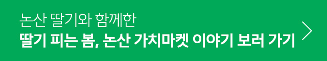 딸기 피는 봄, 논산