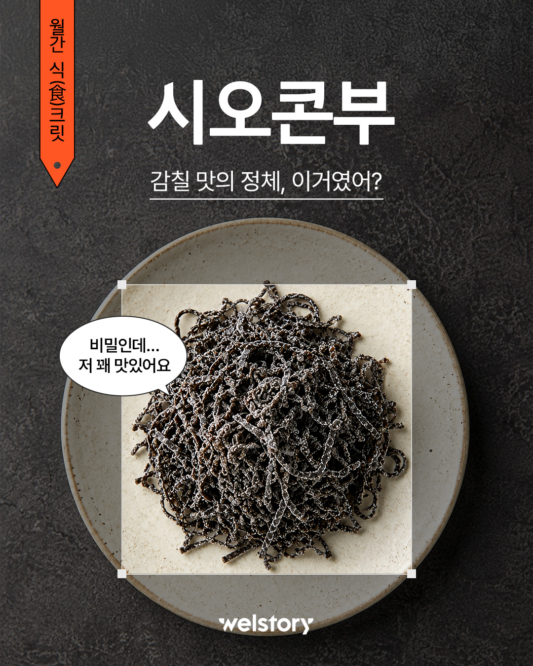 인스타그램 컨텐츠