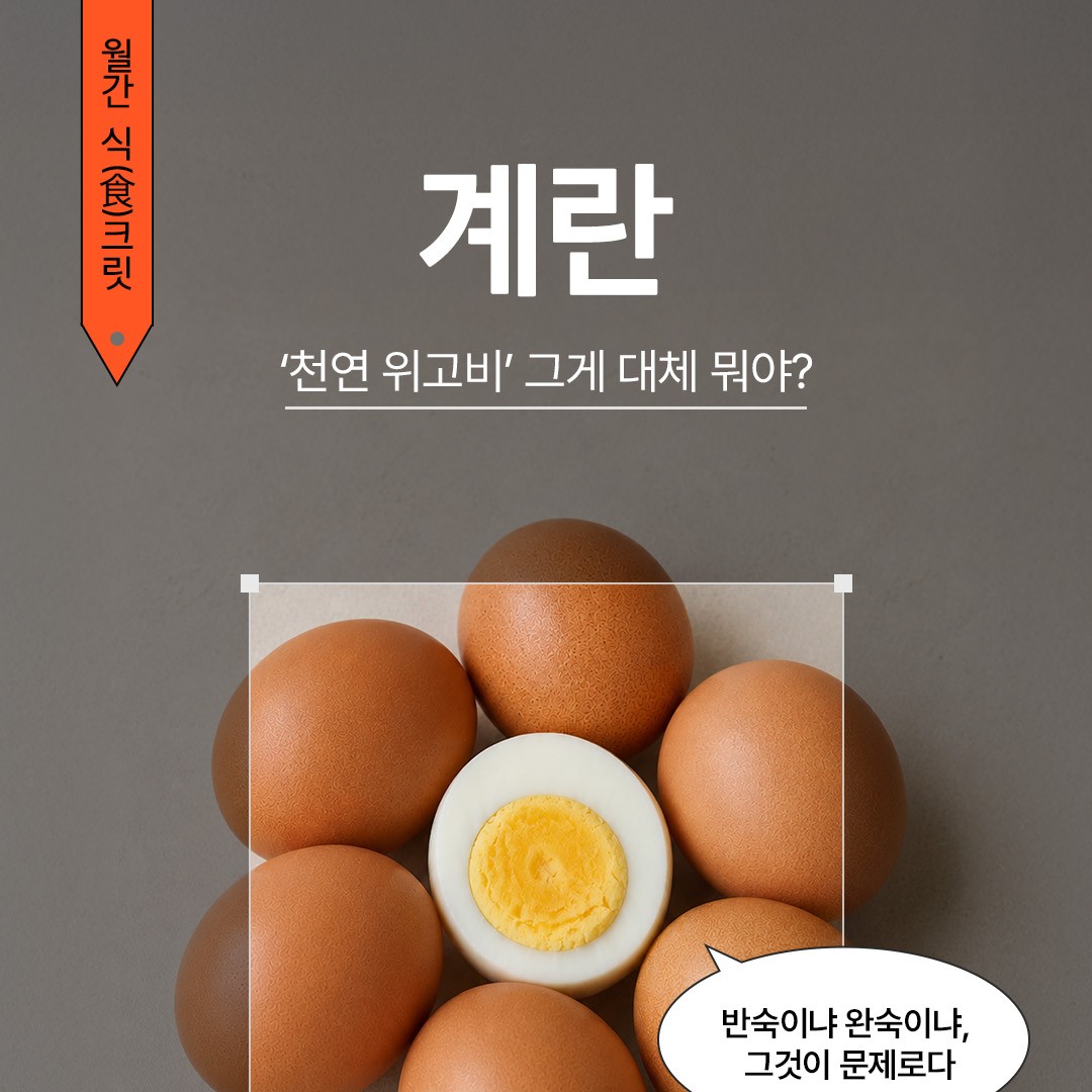 	[월간 식크릿 6월] 이게 내 천연 위고비다...!