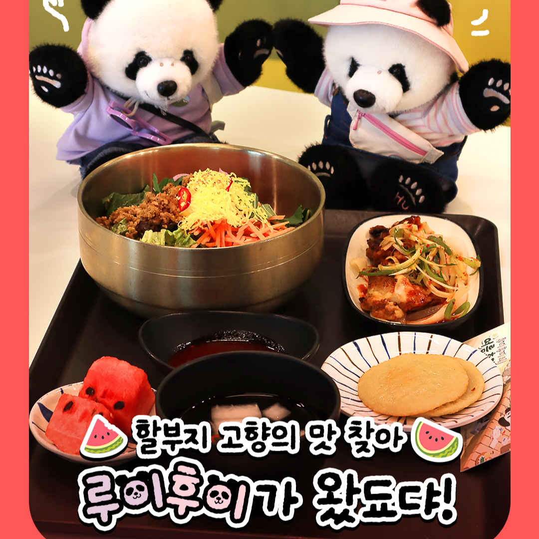 할부지 고향의 맛 찾아, 루이후이가 왔됴댜