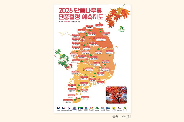 이미지10
