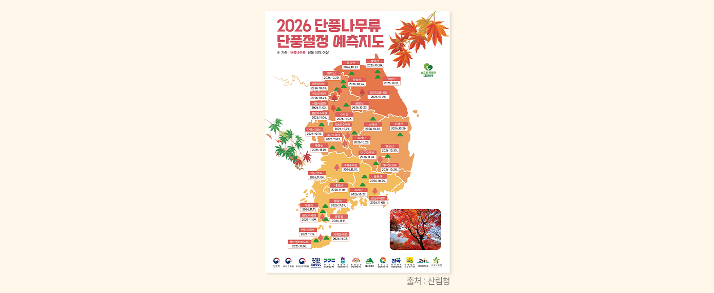 이미지10