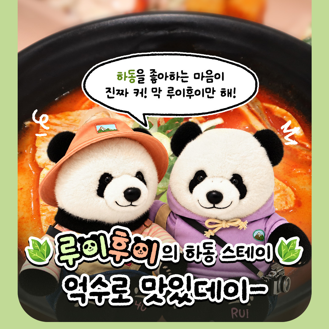 🐼 전국을 돌며 특별한 추억을 만들고 있는 루이후이!